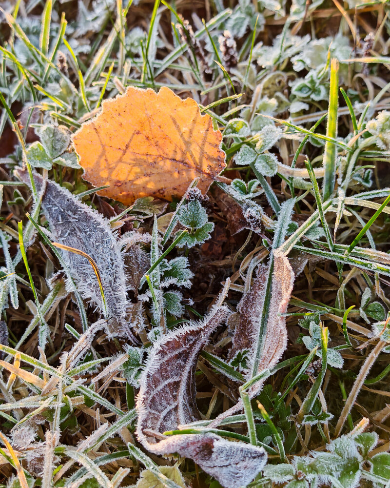 Photograph by OLga Piirainen