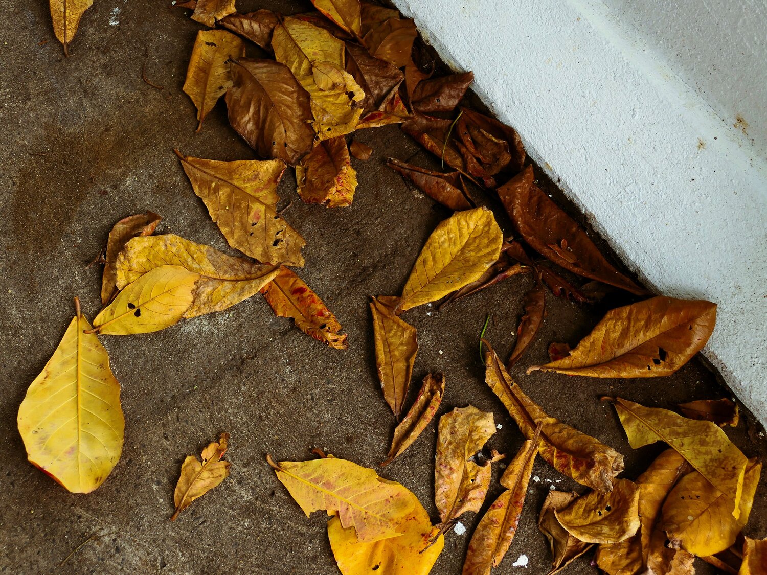 Photo #14114388