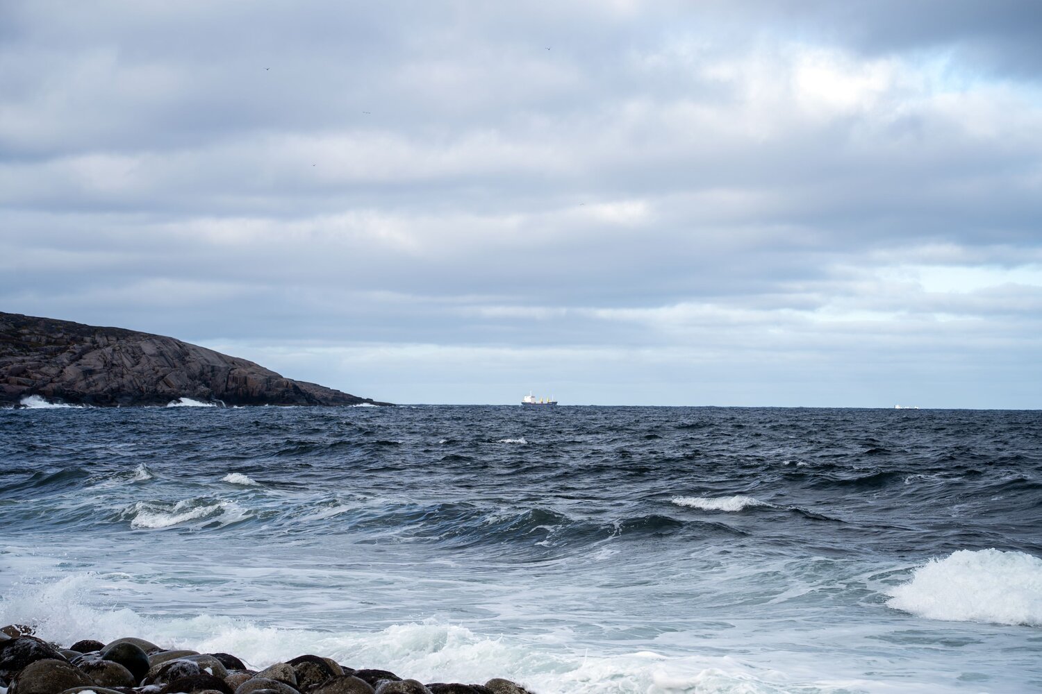 Photo #14114447