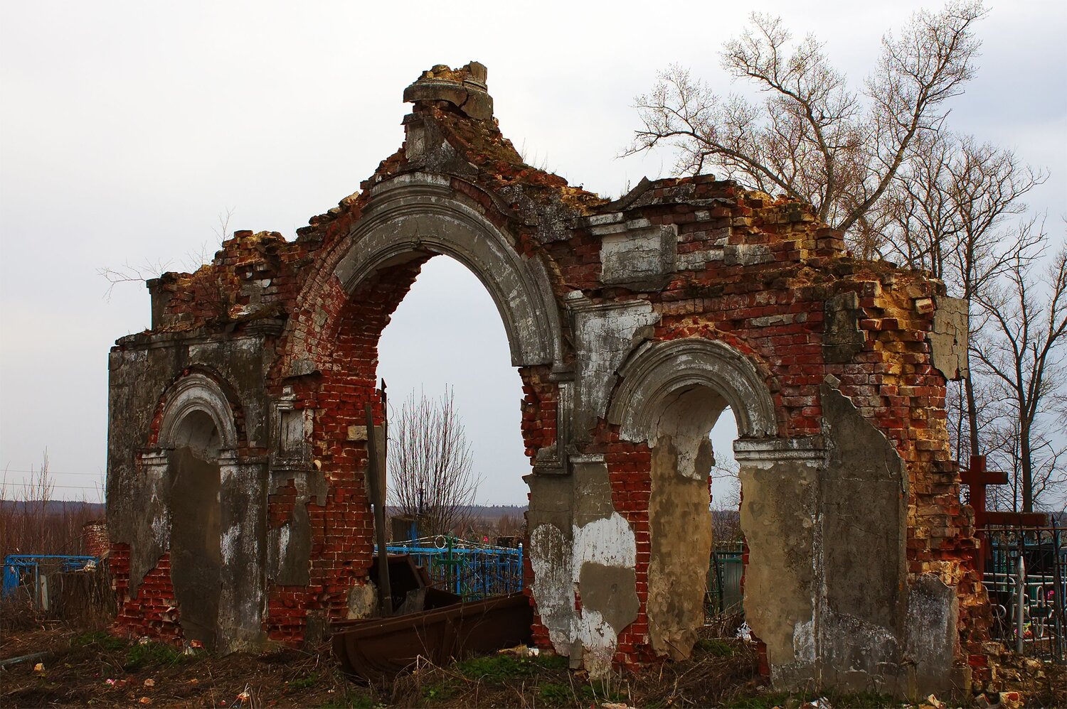 Photo #14114450
