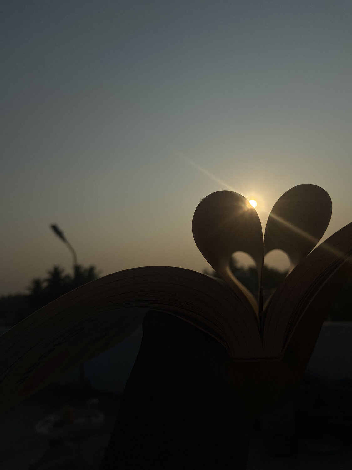 A New Chapter