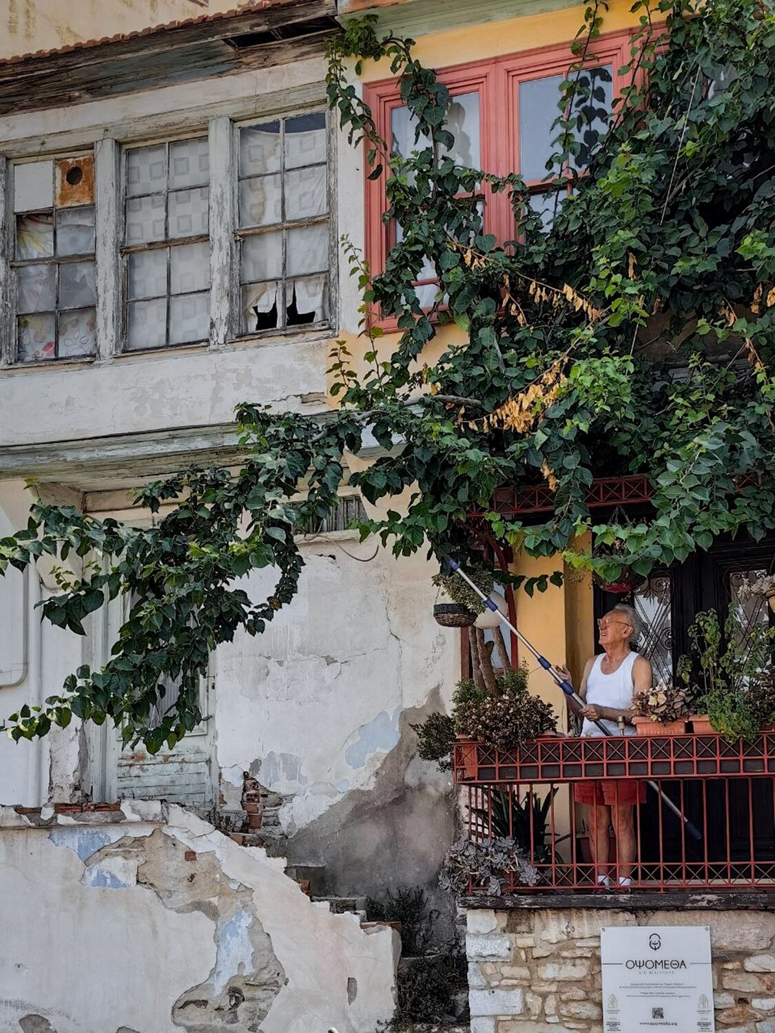 Photo #14114640