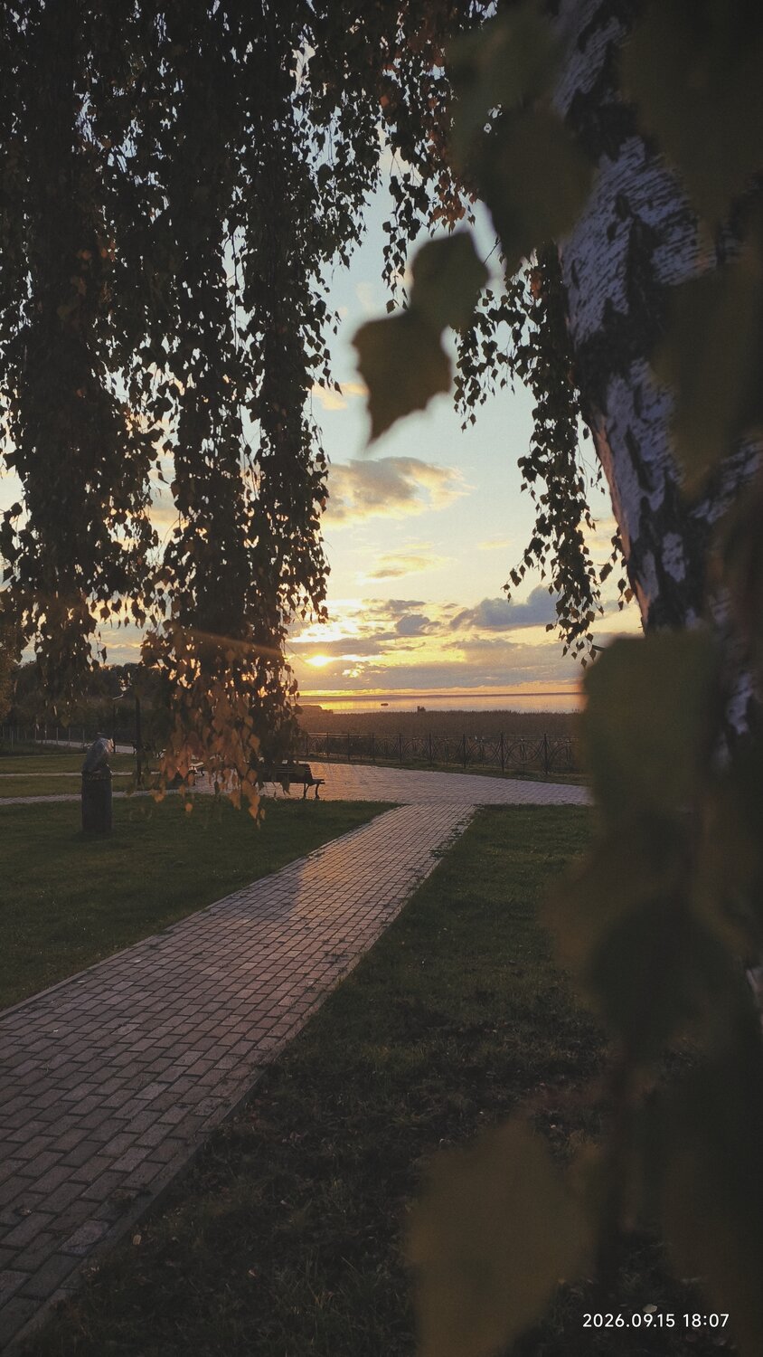Photo #14114713