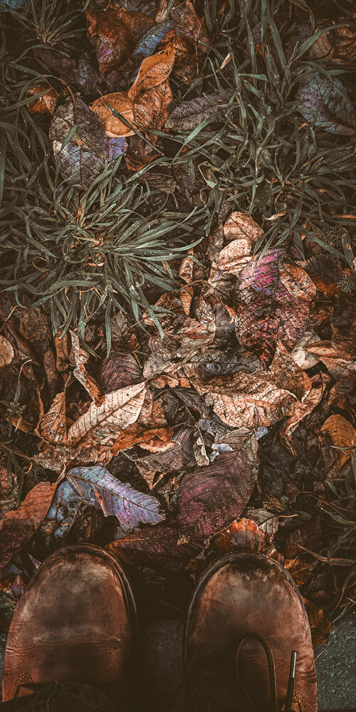 Photograph by Наталья Белослудцева