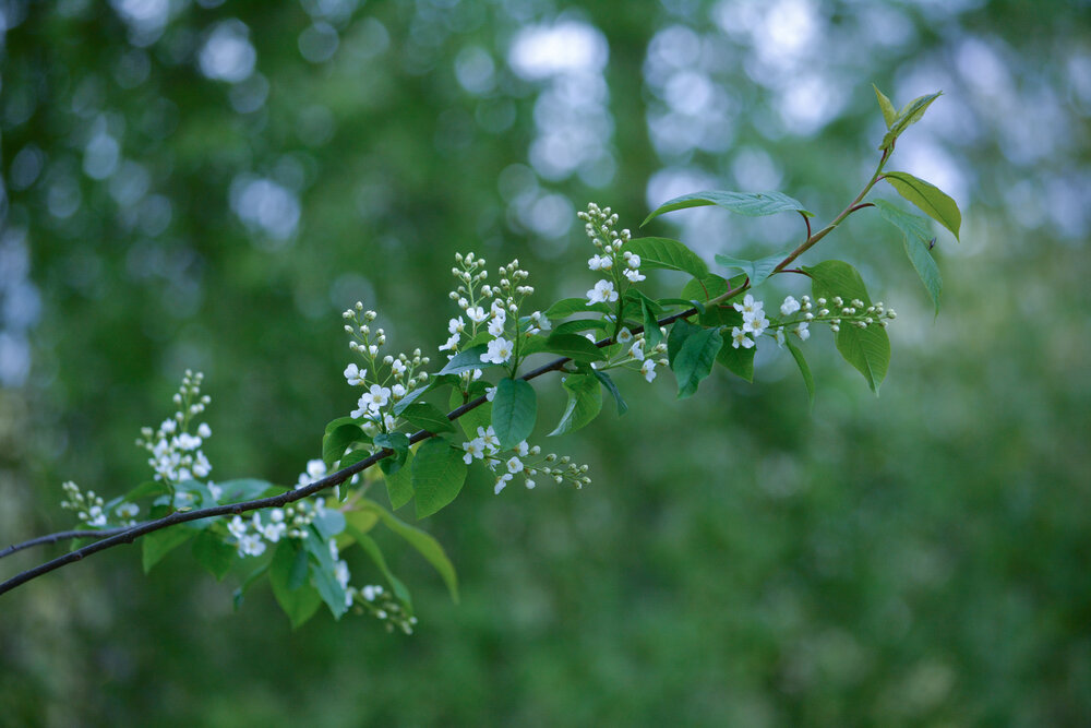 Photograph by Светлана Муравьева
