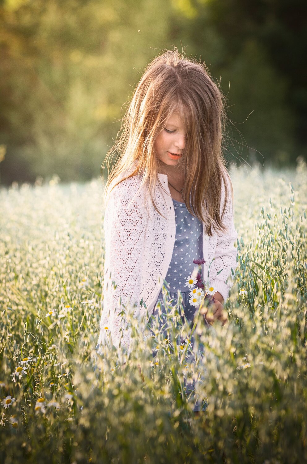 Photo #14114867
