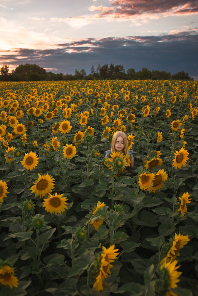 Photograph by Zuzana Zezulova