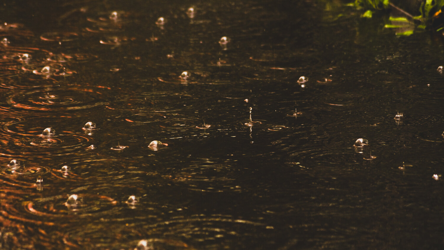 Photo #14115128