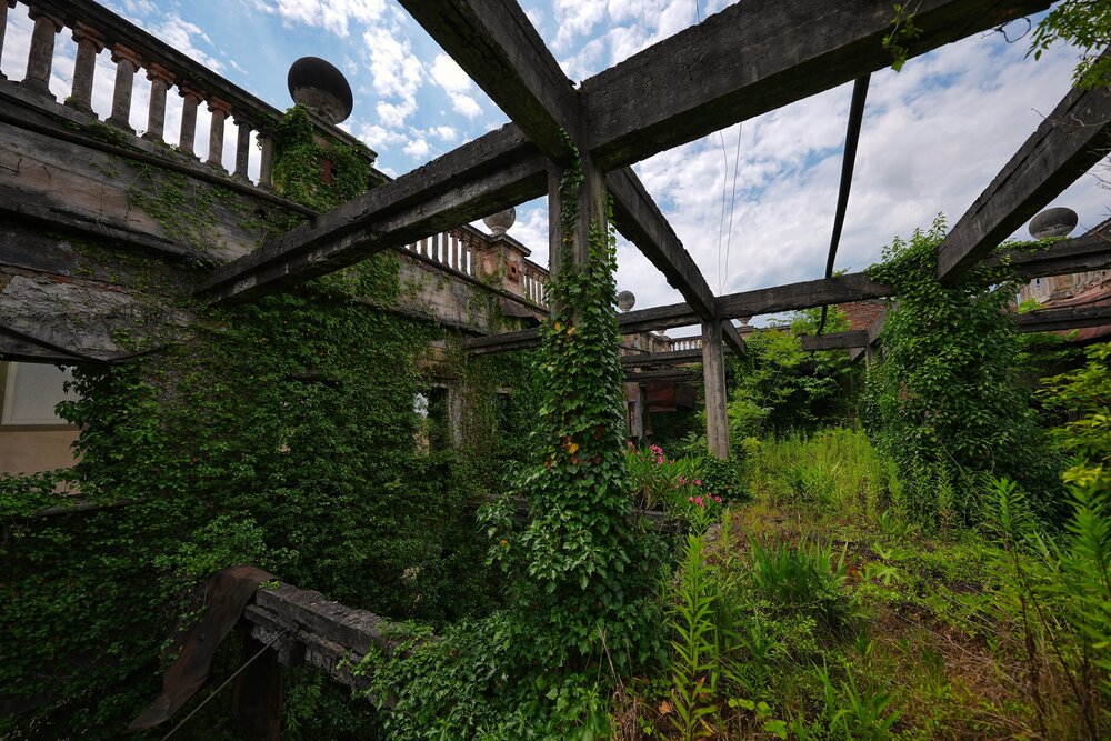 Photograph by Светлана Ростова