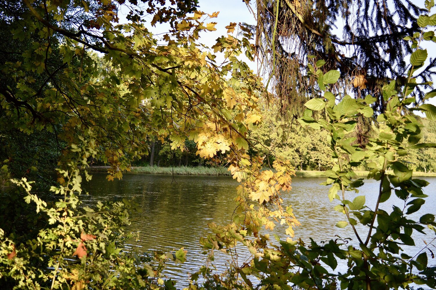 Photo #14115376