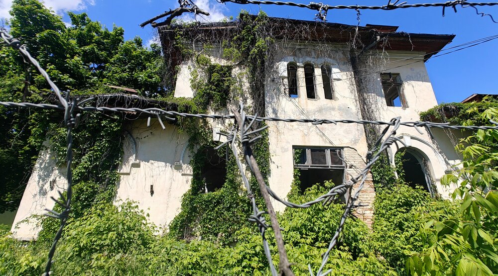 Photograph by Grădinaru Catalin