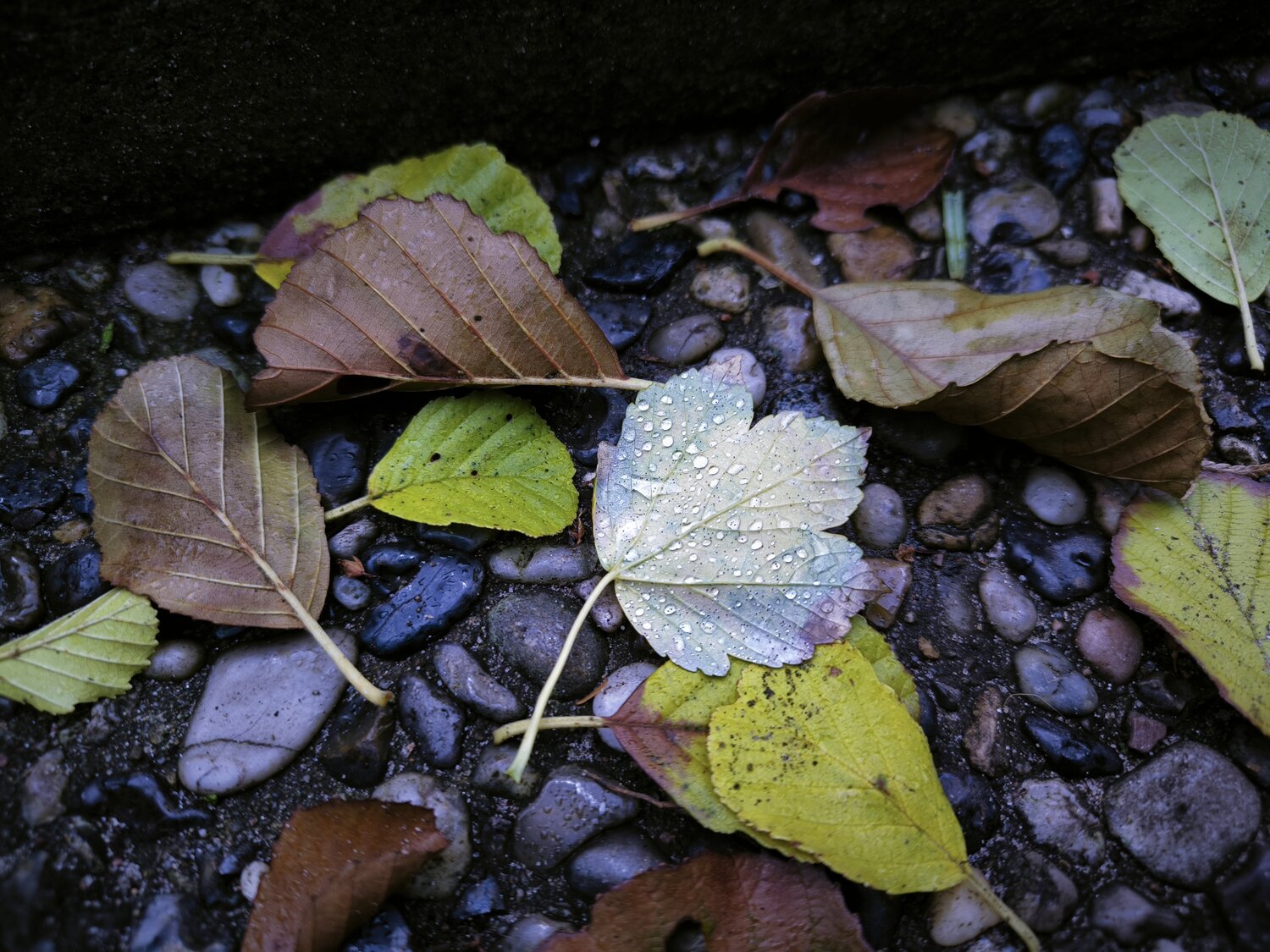 Photo #14115446