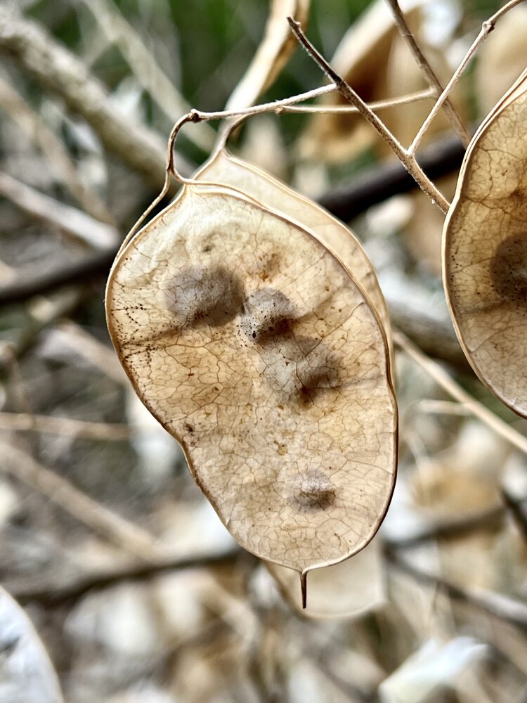 Photograph by Eleni Christogianni