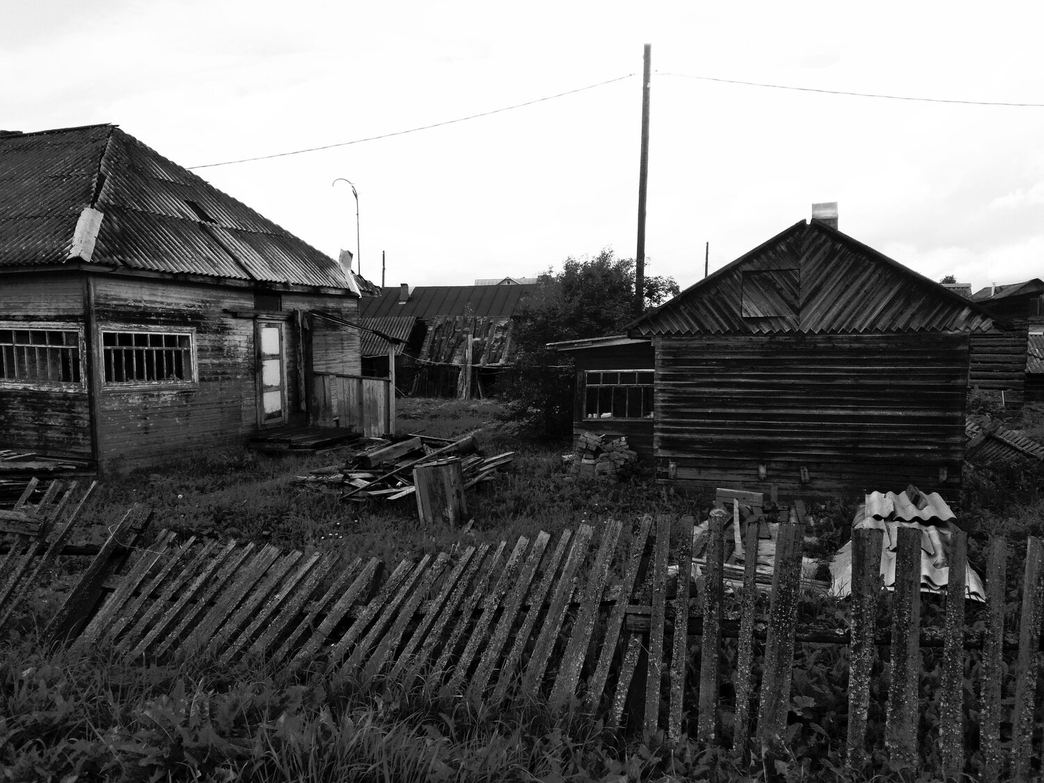 Photo #14115672