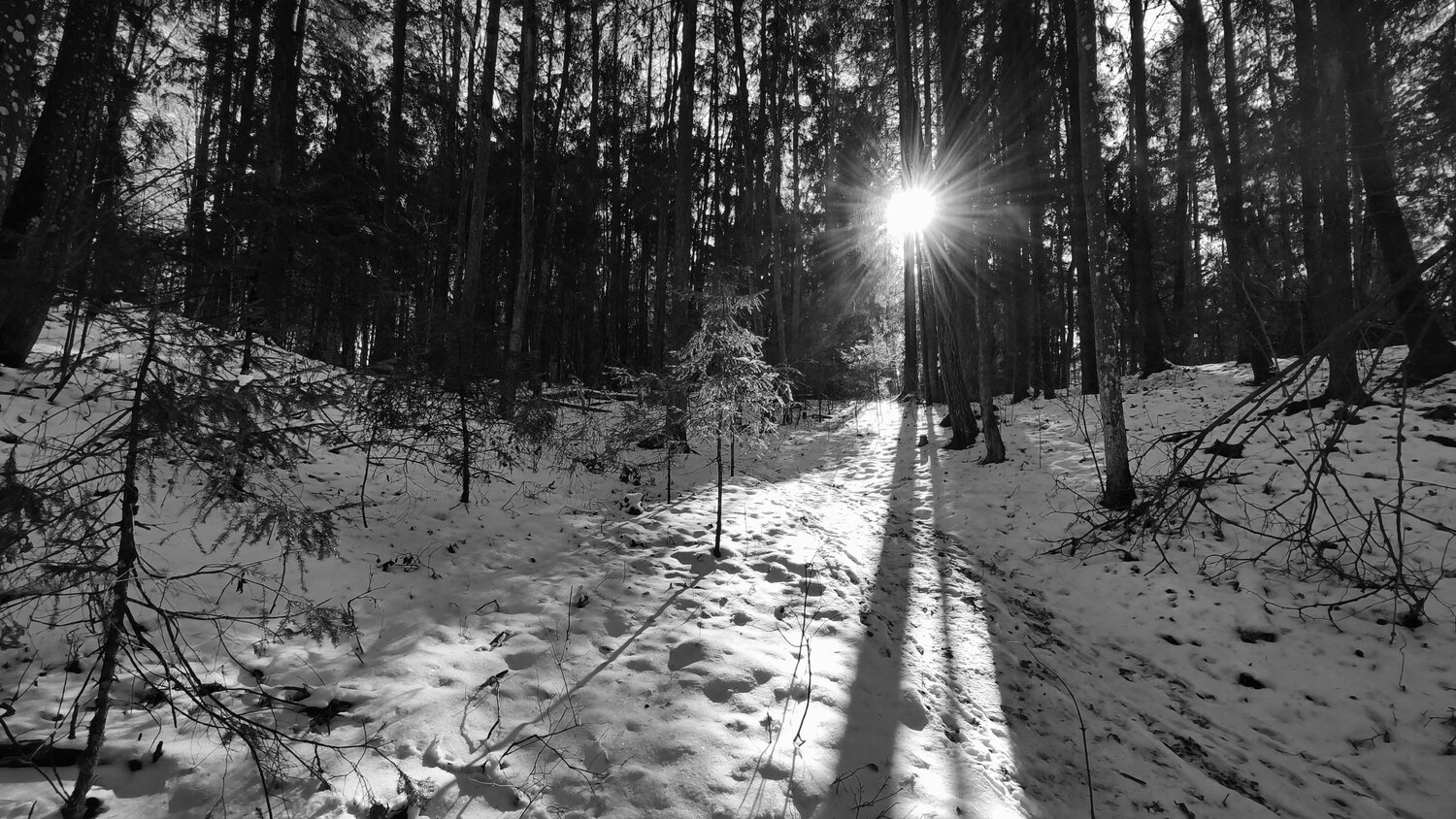 Photo #14115767