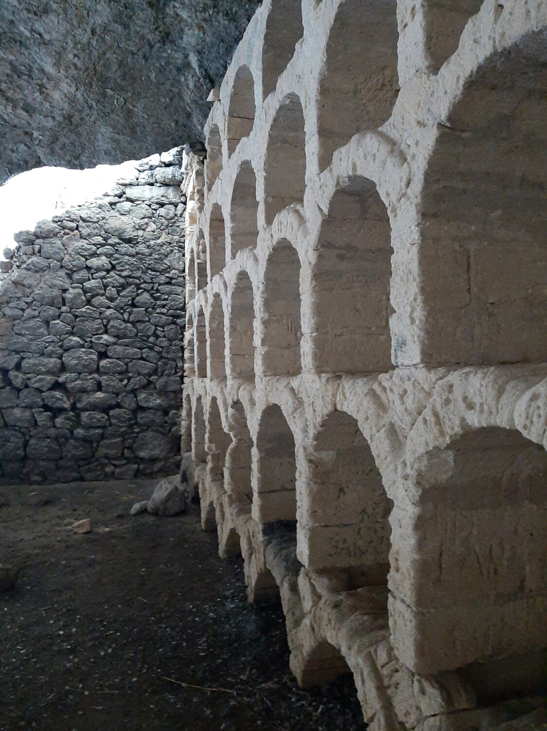 Photo #14115817