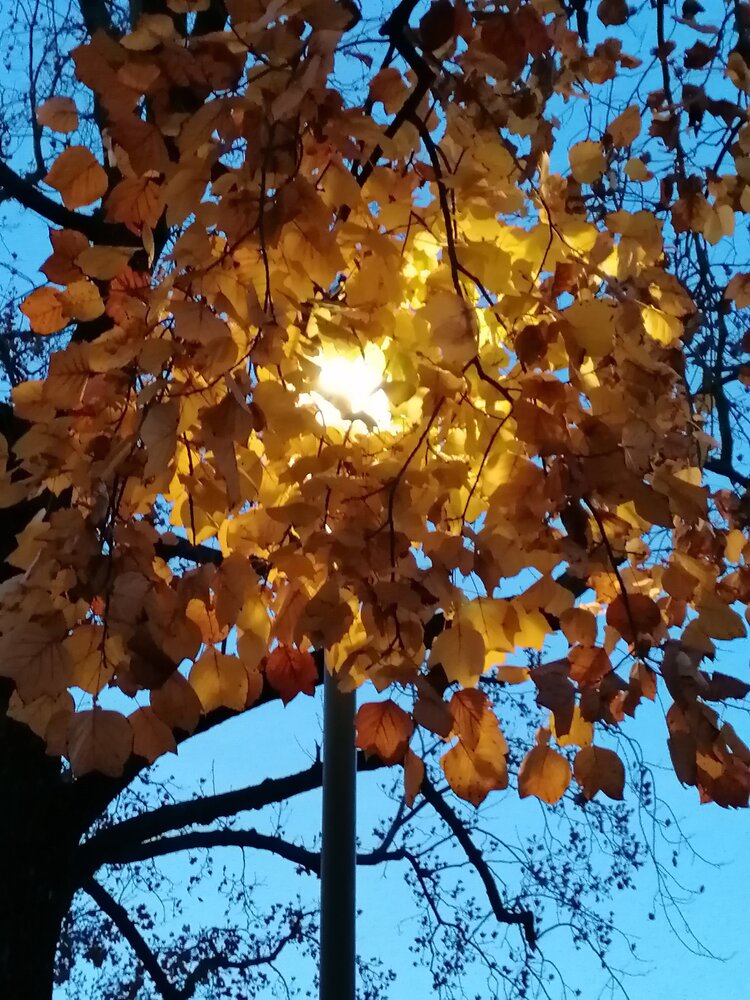 The Golden Core