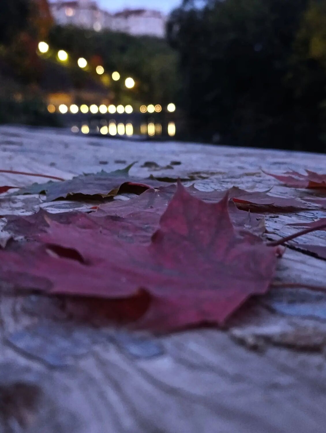 Photo #14116082