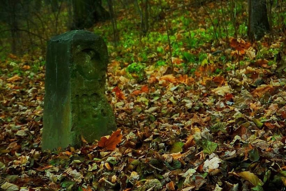 Осень в парке Царицыно