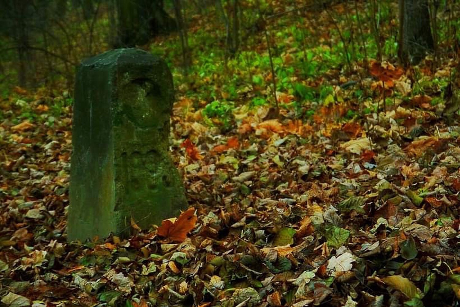 Осень в парке Царицыно