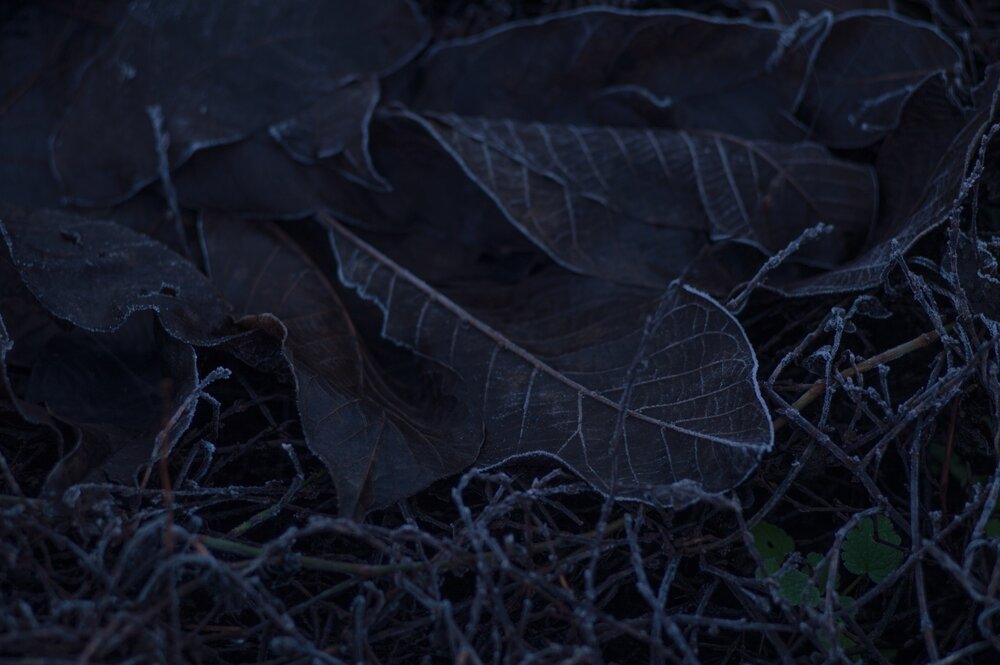 Photograph by Анастасия