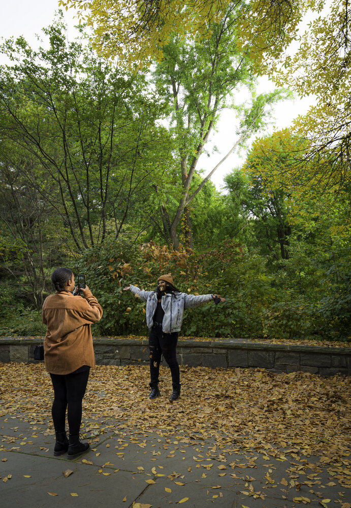 Autumn at Central Park