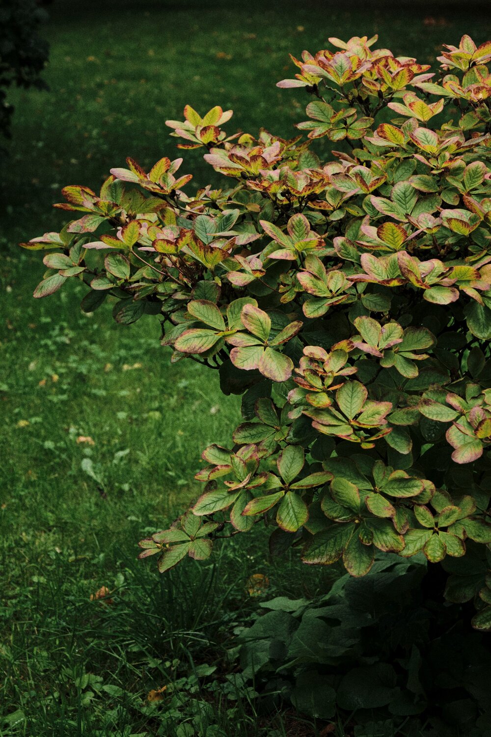 Photo #14116432
