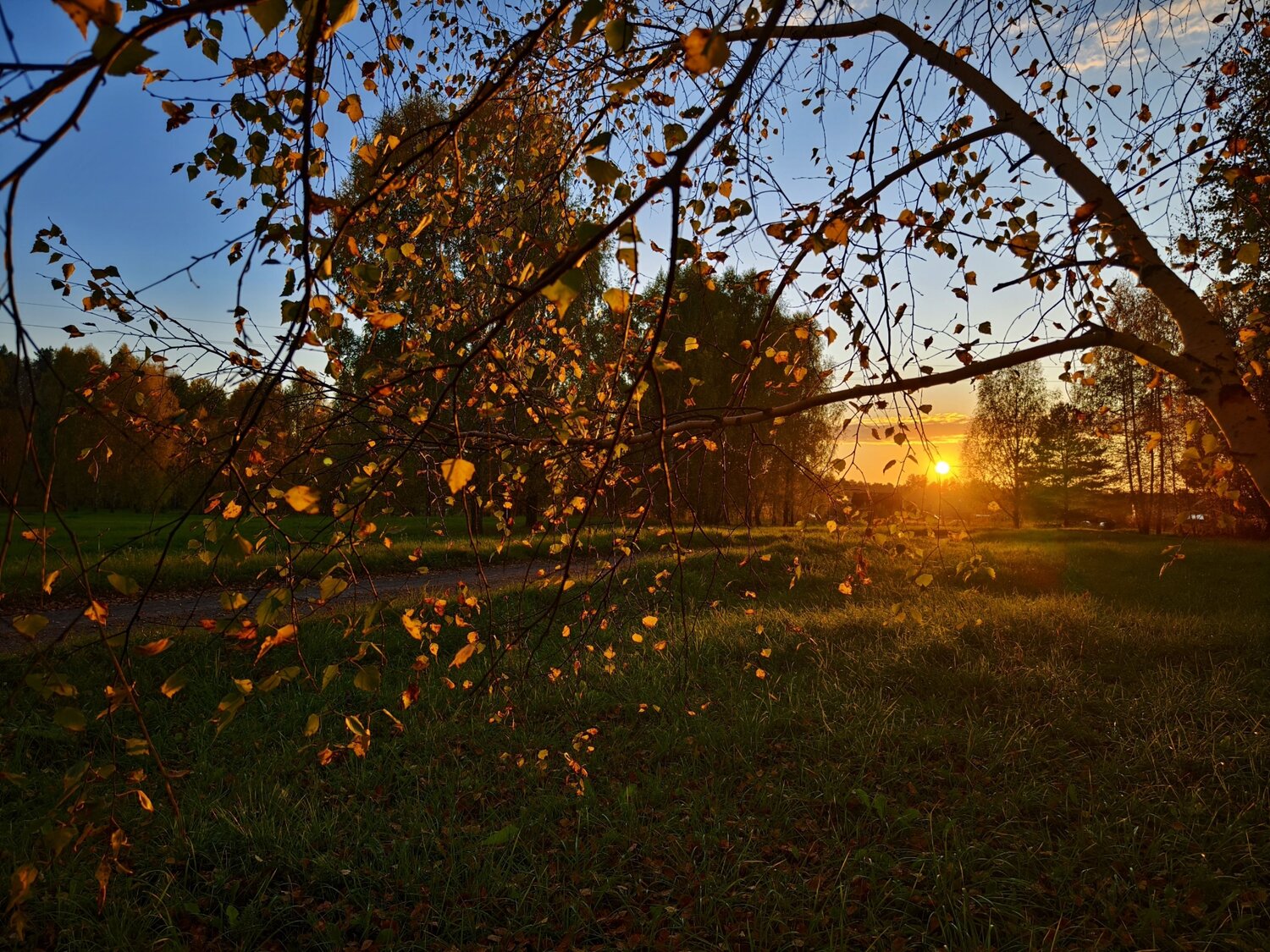 Photo #14116439