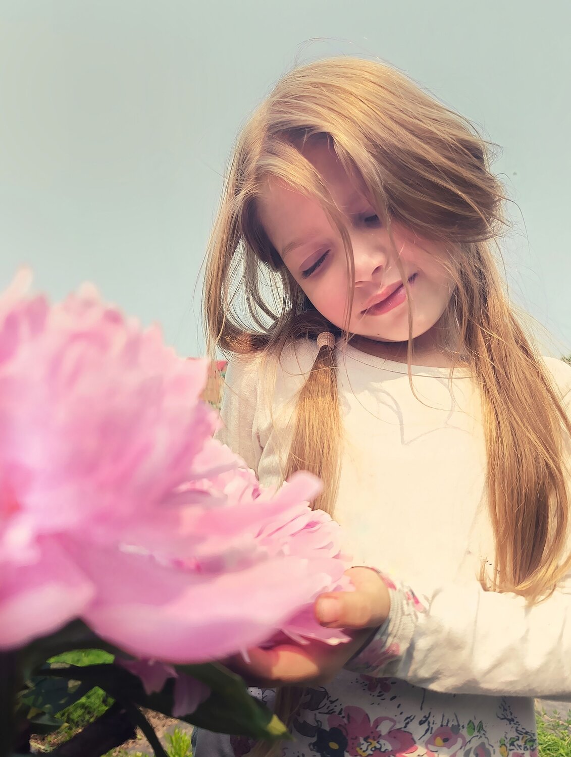 Photo #14116445