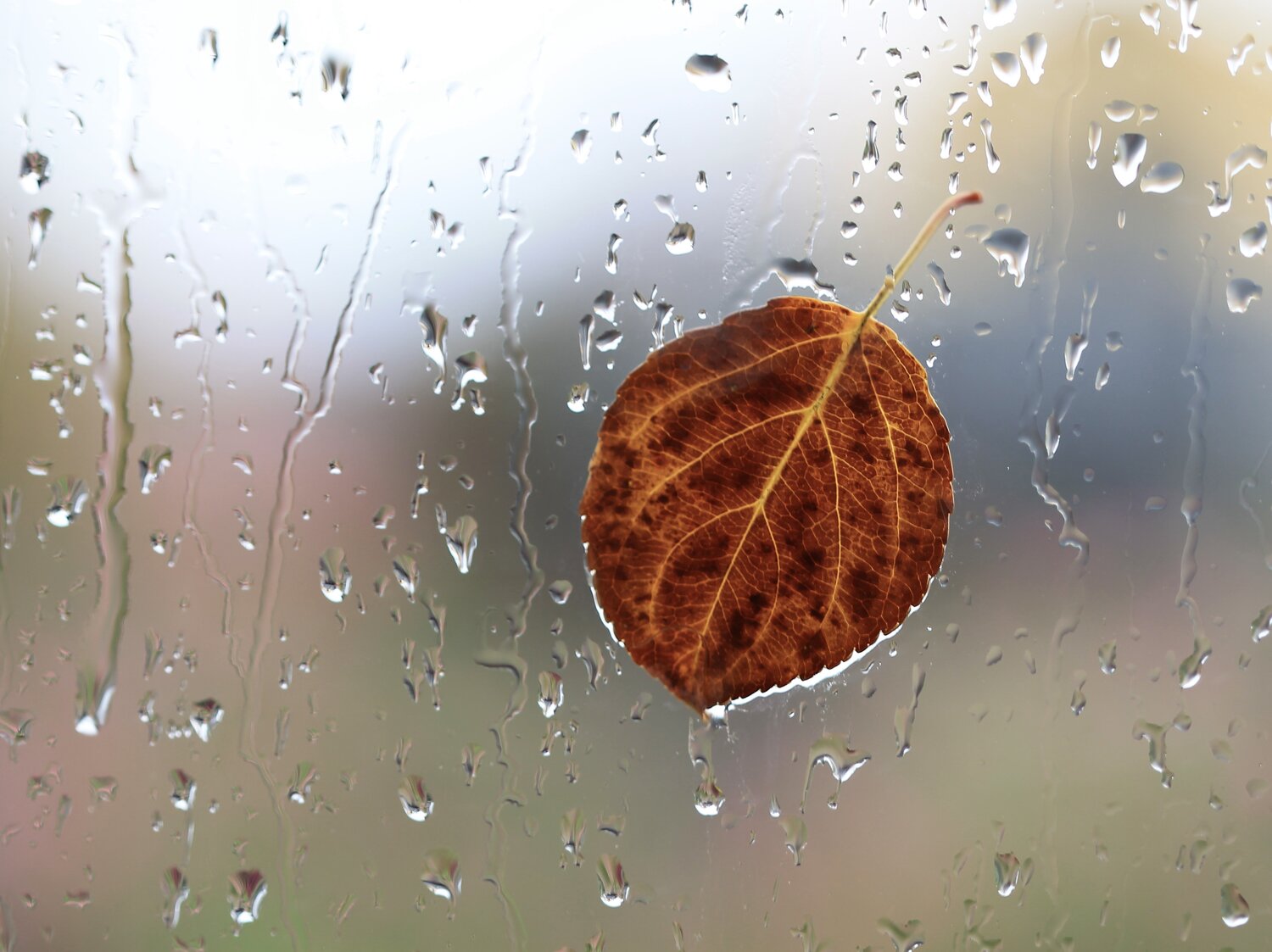 Photo #14116551