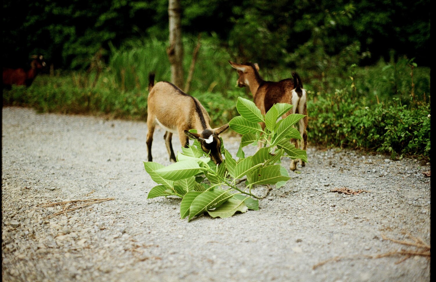 Photo #14116669