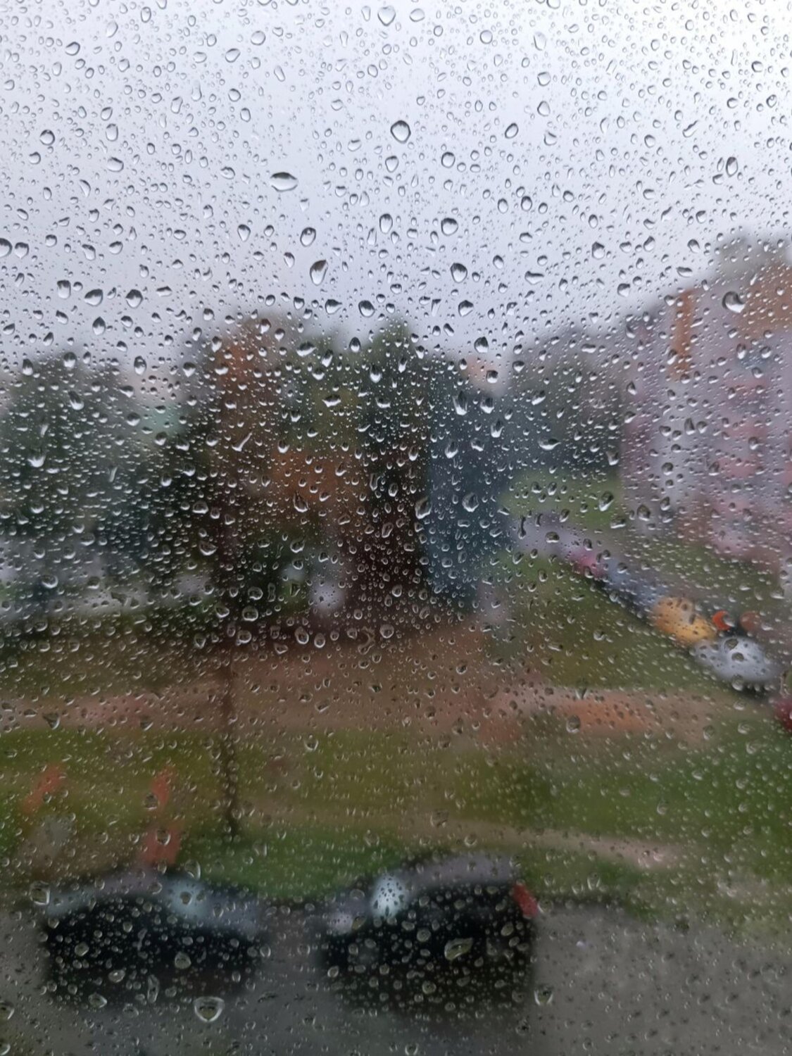 Photo #14116699