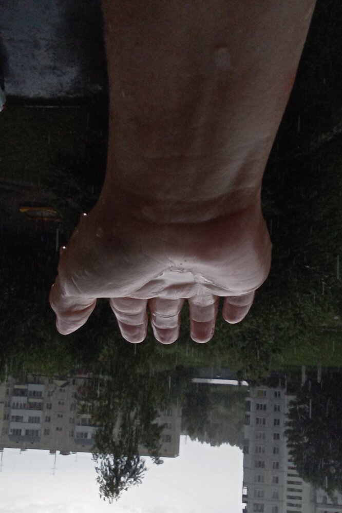 Photo #14116732