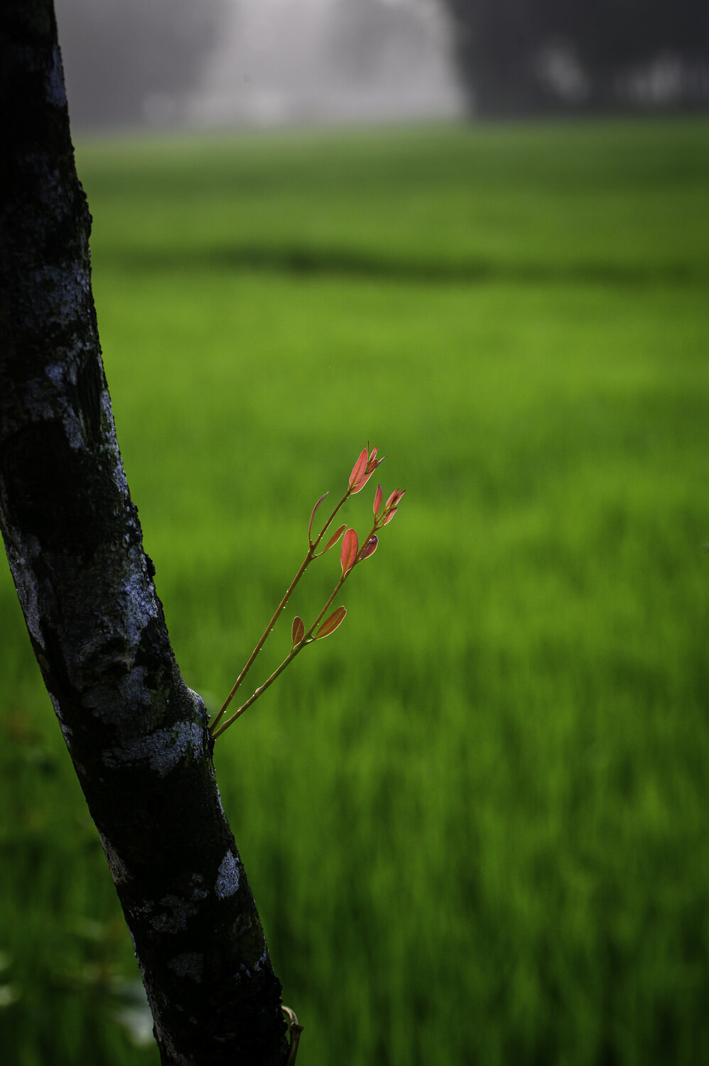 Photo #14116747