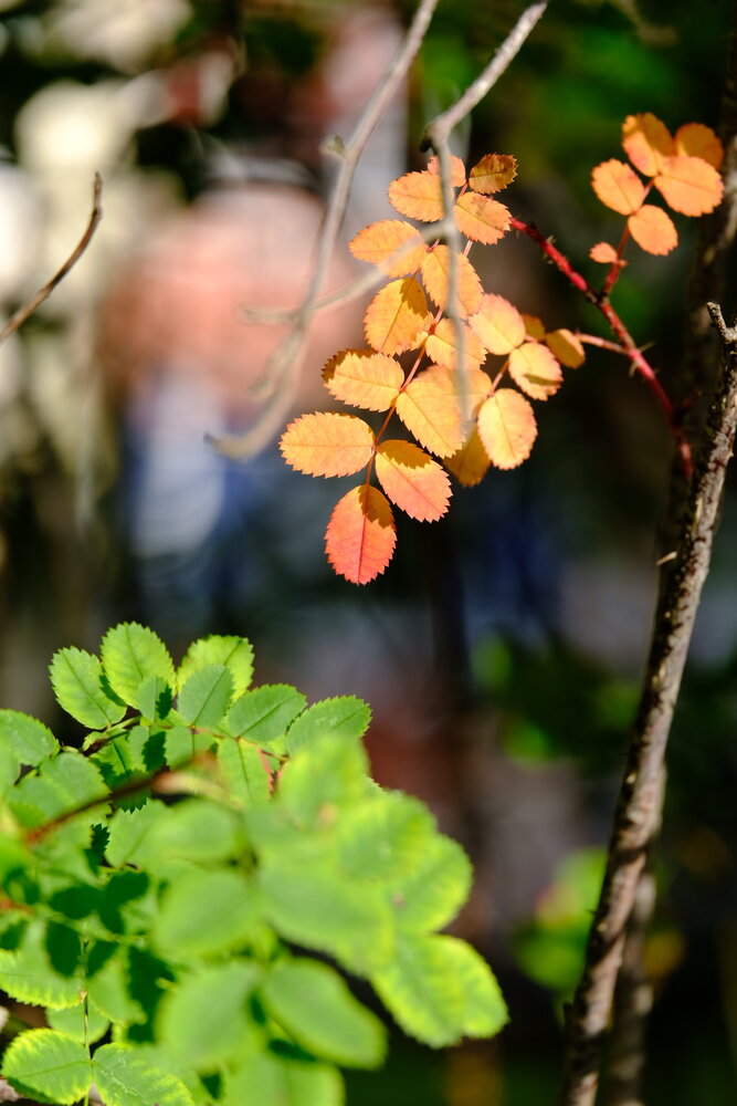 Photograph by Inga Deimante