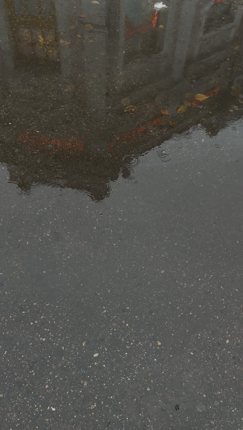 Photo #14116803