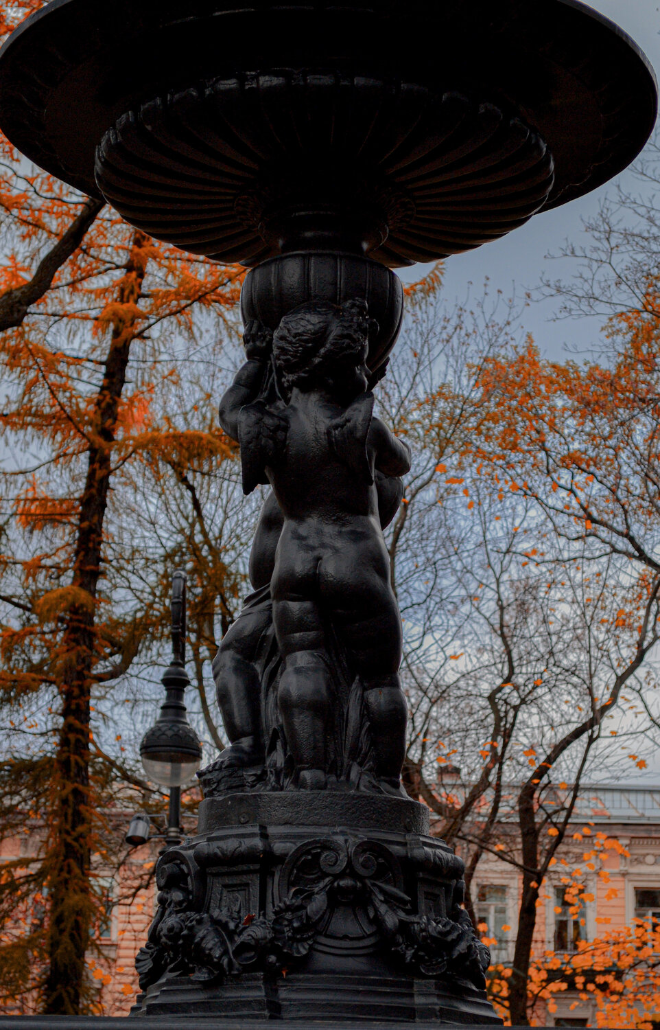 Photo #14116829