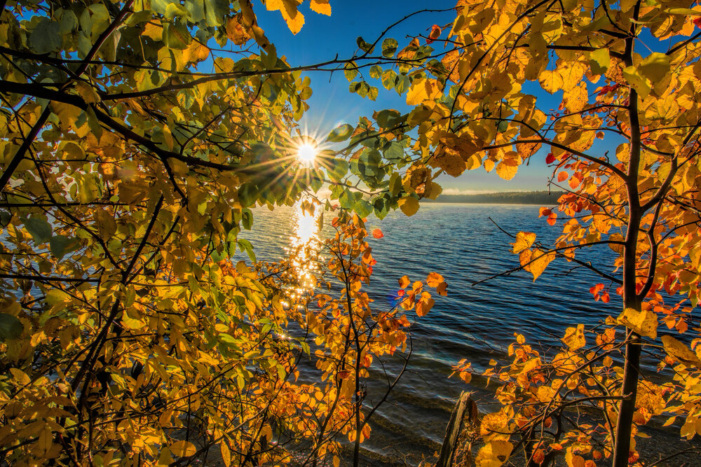 Photograph by Vladim Bormotov