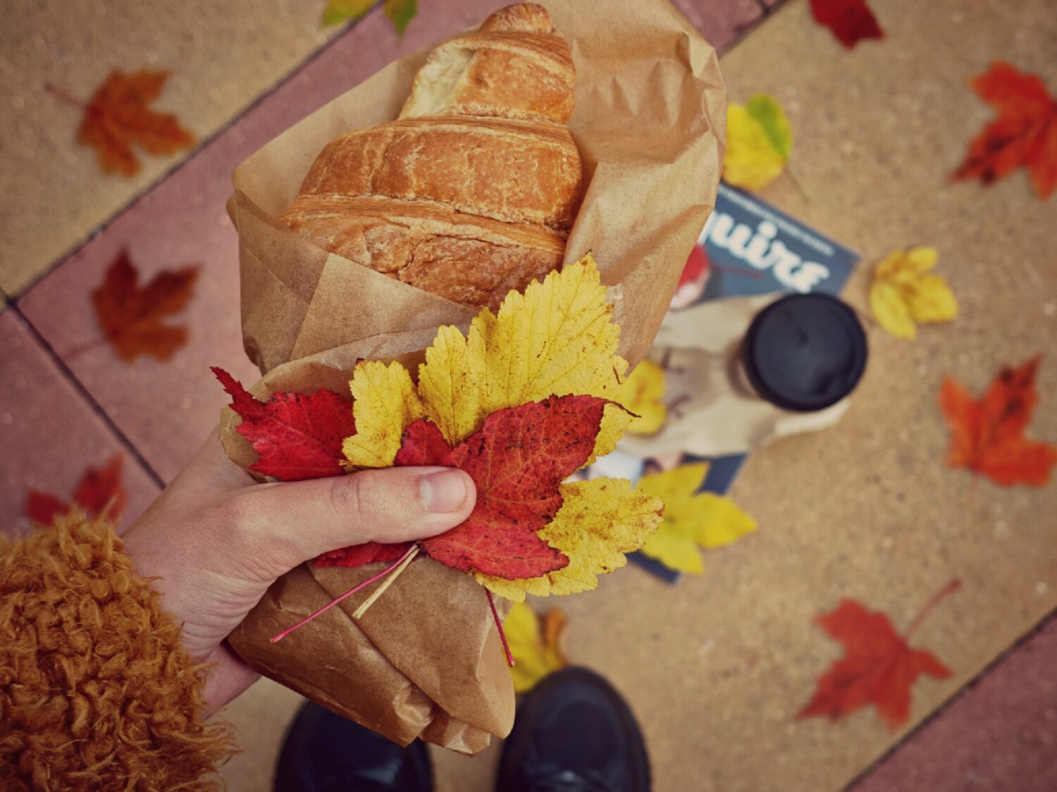 Photo #14116945