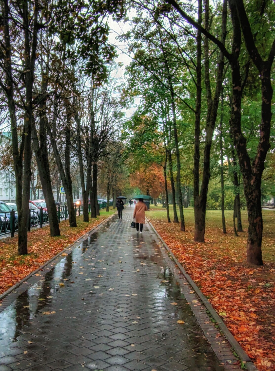 Photo #14116967