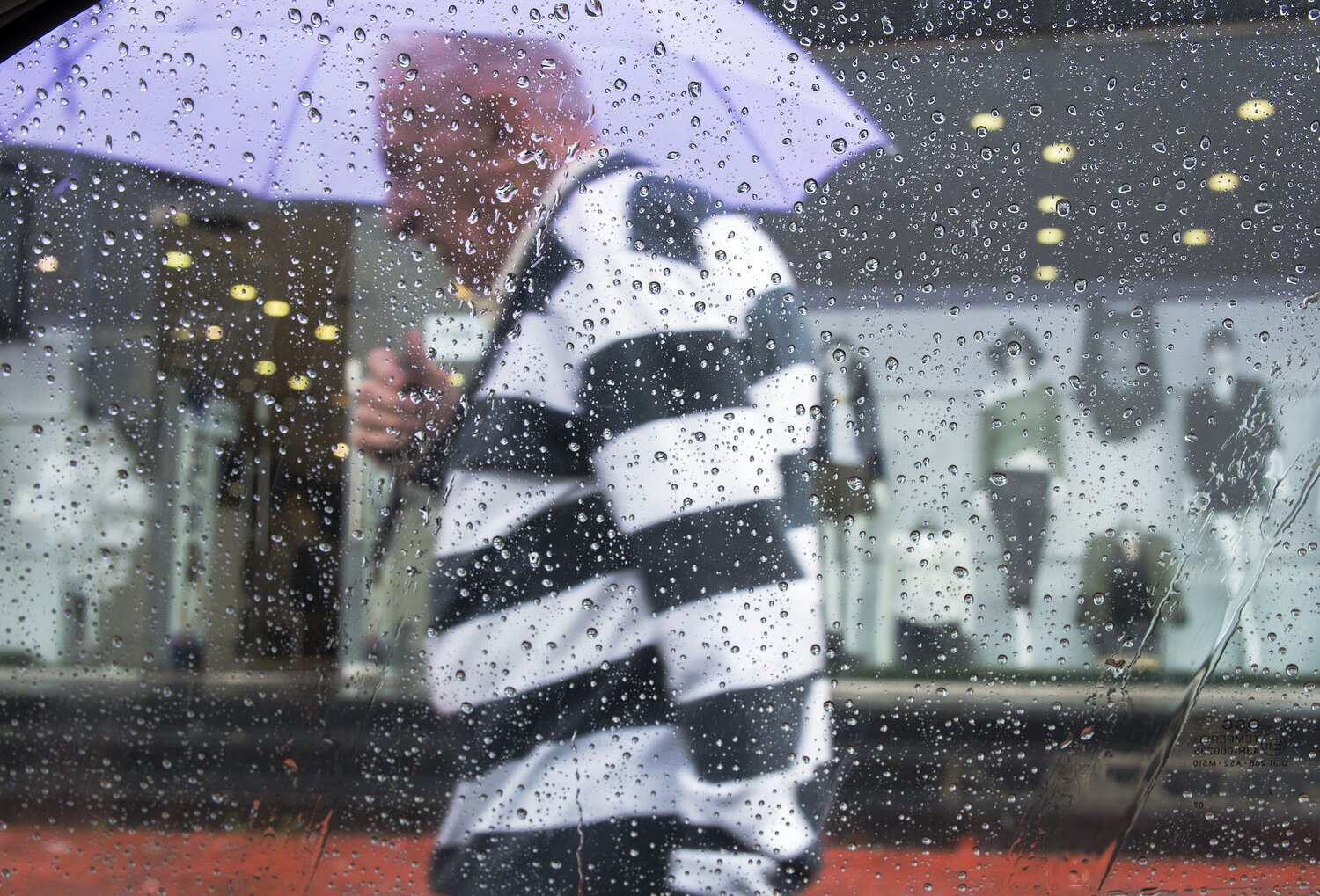 Photo #14116995