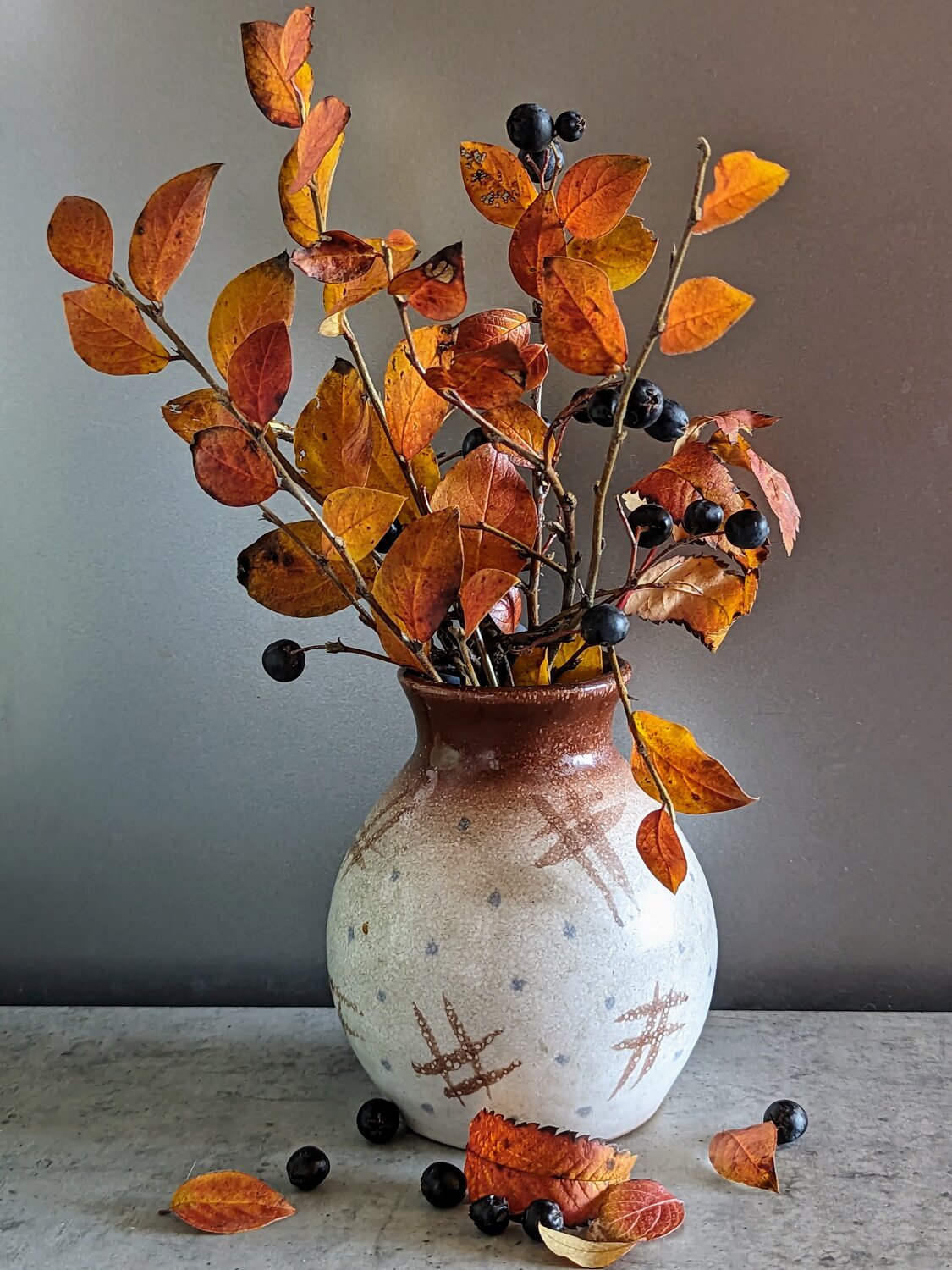 Photo #14117028