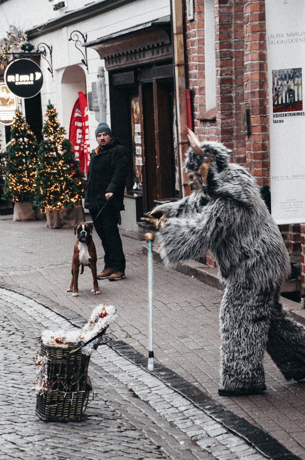Photo #14117094