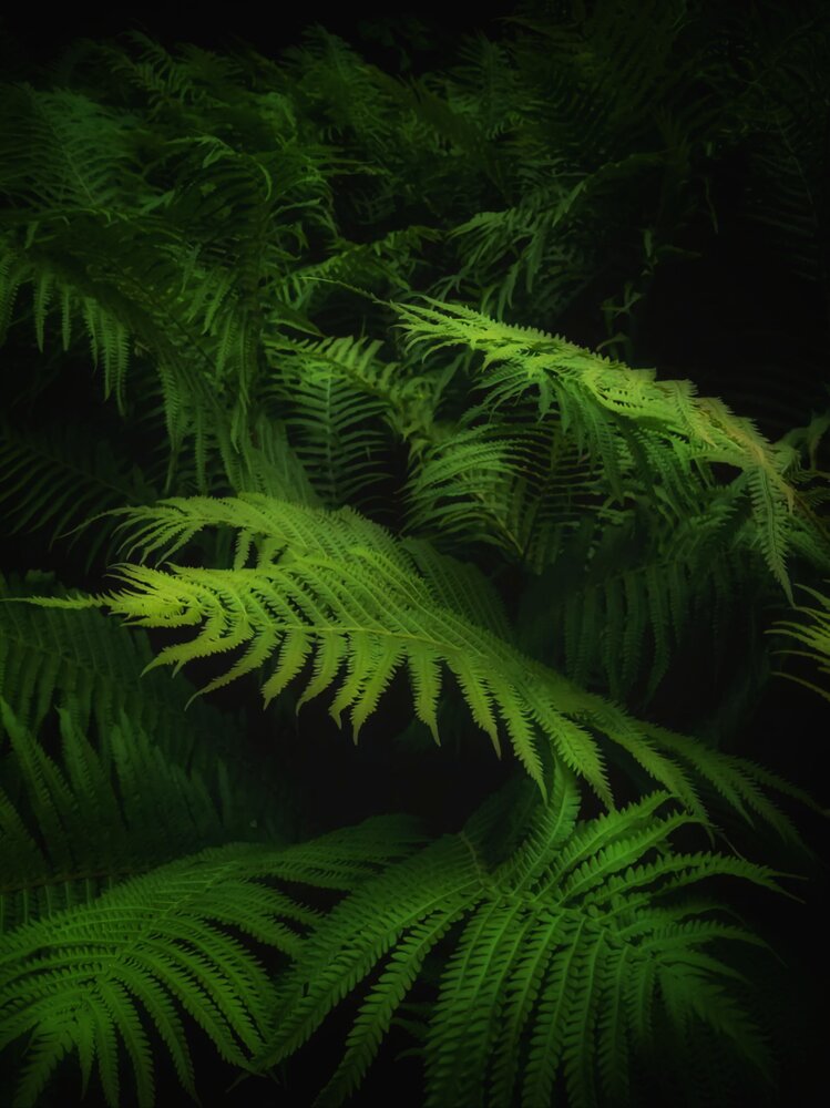 Photograph by Елена Ямнюк