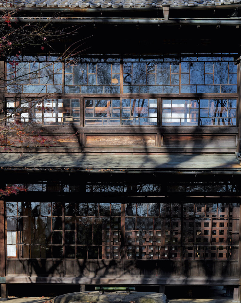 A Moment of Dappled Light