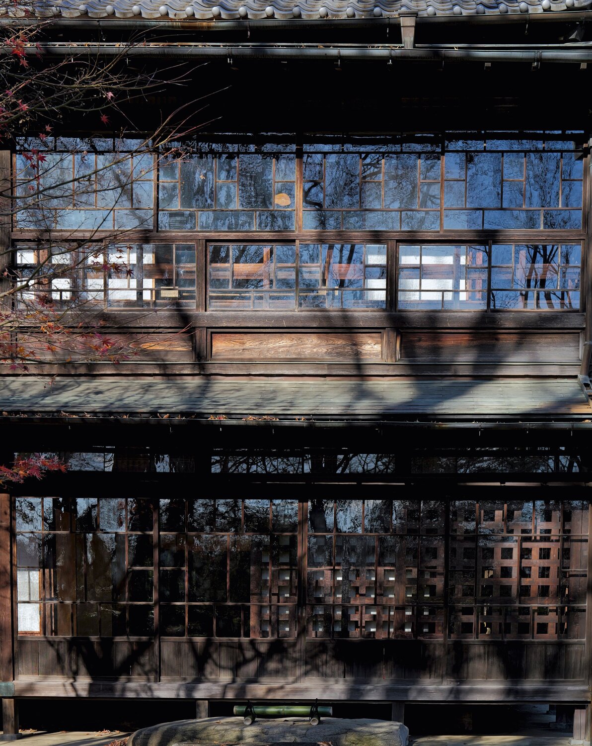 A Moment of Dappled Light