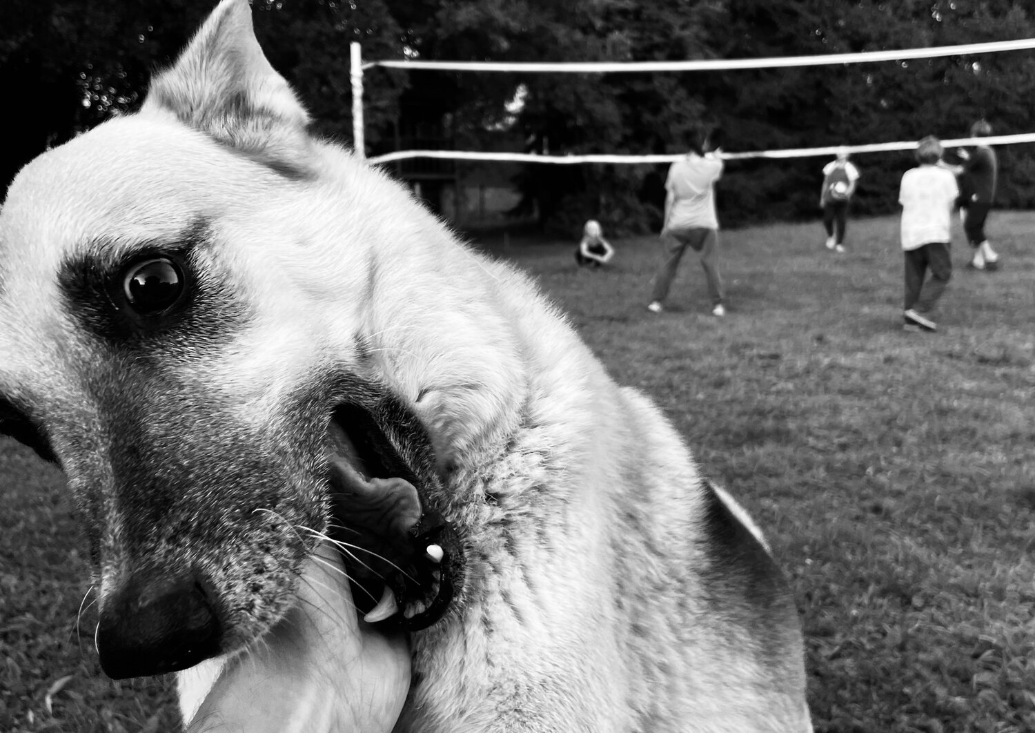 Photo #14117398