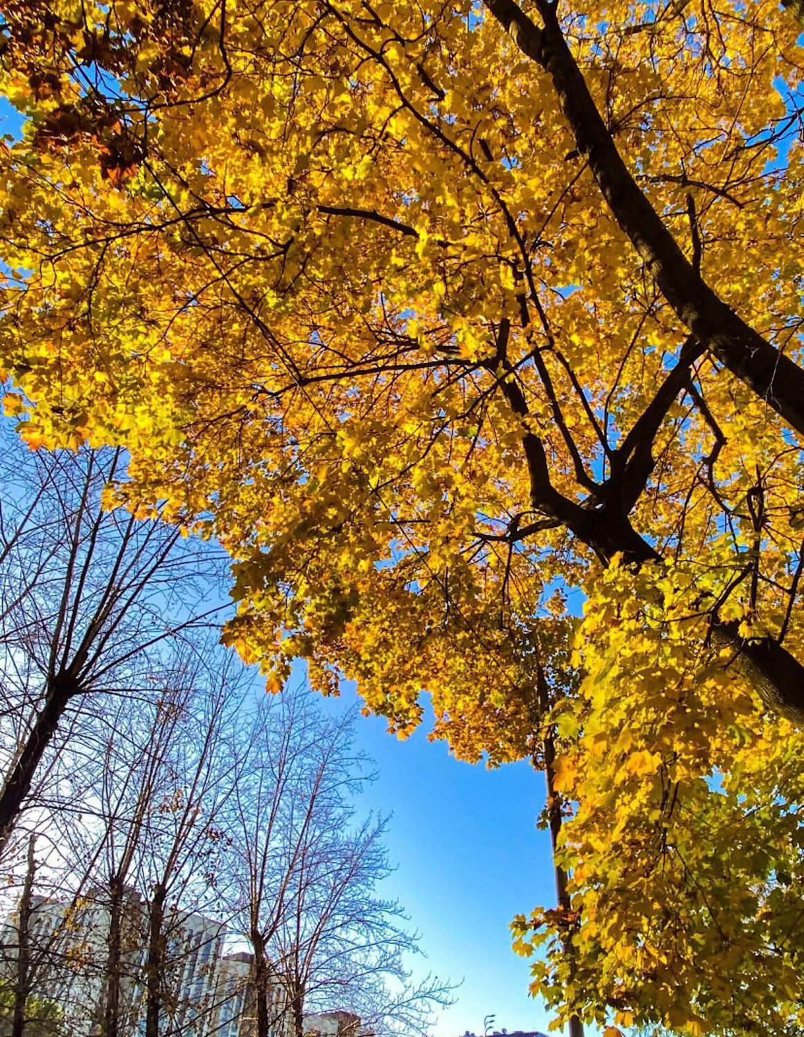 Photo #14117475