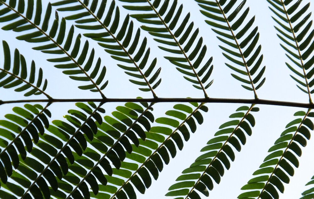 Photo #14117496