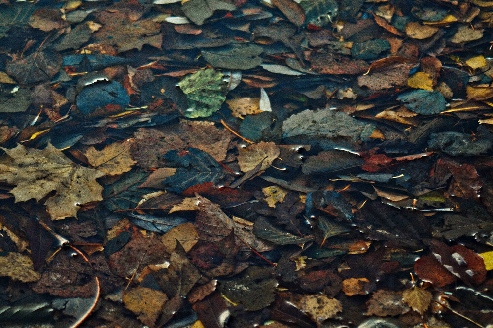 Photograph by Dmitry Kuzmich